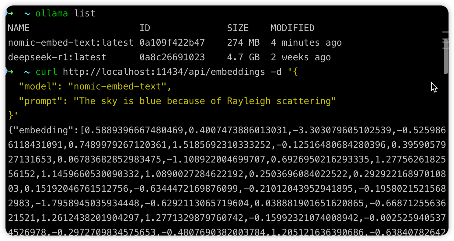 image-20250211205831626
